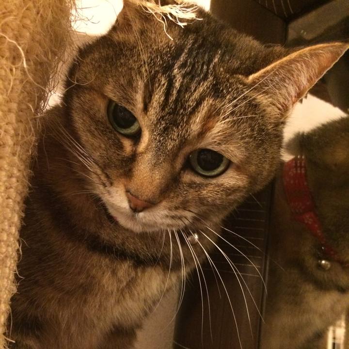 488bc17a 84c9 4f13 9faa 04b65df99a19 1508653993921