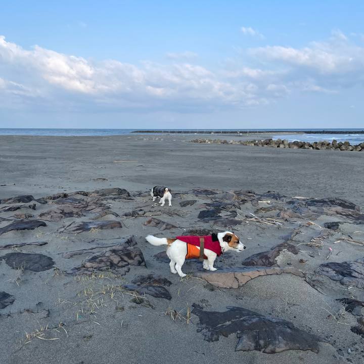 488bc2d2 233a 43df 85c4 d9058bd3e4bb 1710404034439