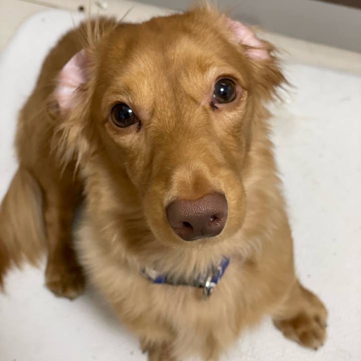 488be861 2e80 4b37 a65f df3c93328a2b 1736068523488