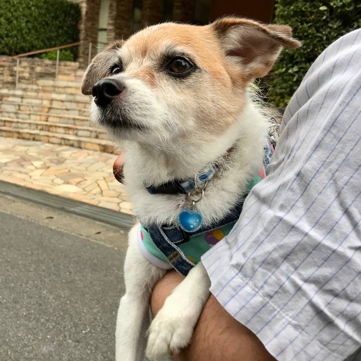 488befb3 a06f 4833 abc8 1cefd226bcee 1632618311556