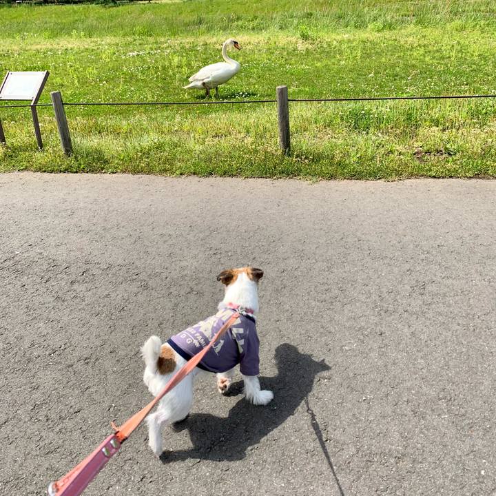 488c7b17 e9d0 44f4 bda2 2314c3367977 1620191687198