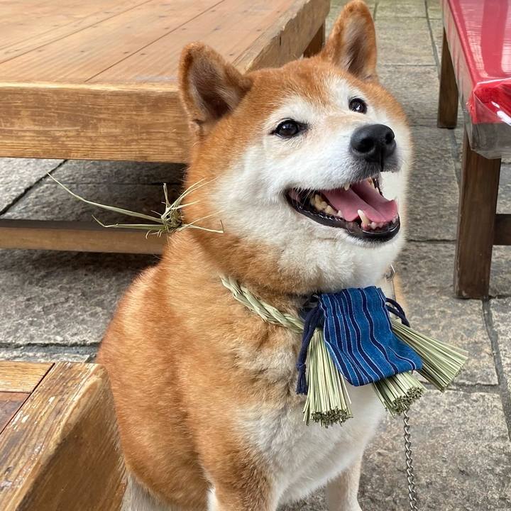 488ca25b 7879 4f04 b62e d860dcd34c96 1733311873831