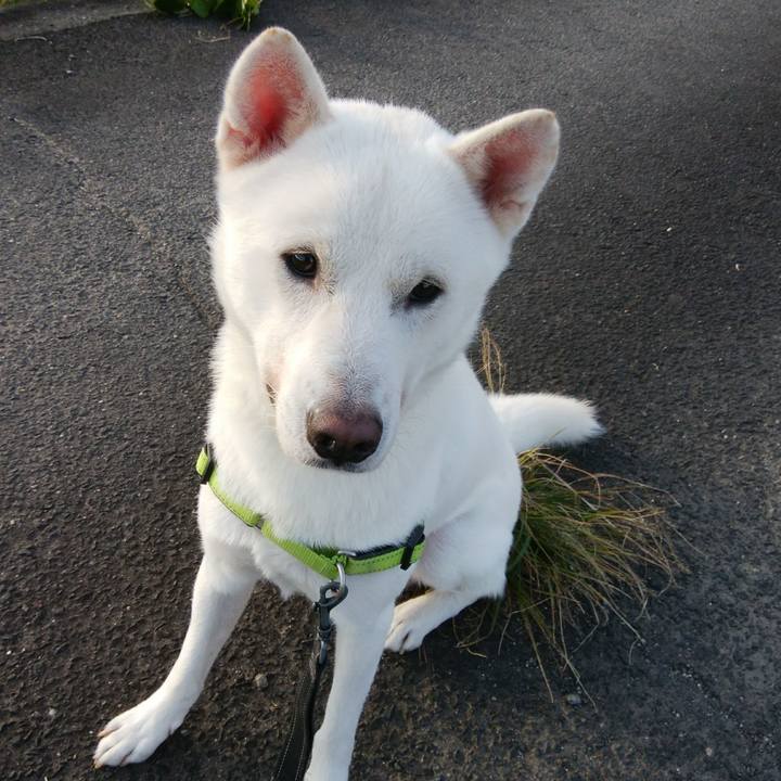 488cb940 72a8 43eb aa7e b239e94fc75e 1572862854448