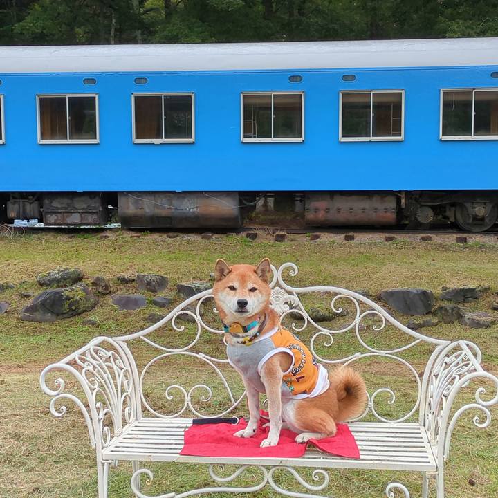 488cbb78 6549 4e79 be94 fc7c8f1b9300 1728272553290