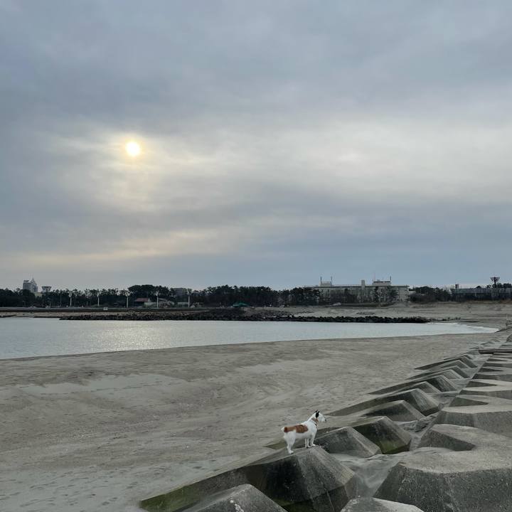 488cbdbb 0df6 41bc 9f55 d15baf5db946 1616624996247