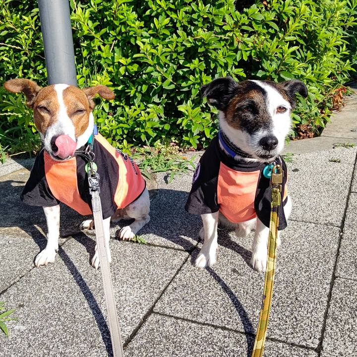 488cd615 41ac 459c b102 82423e9f7bb5 1686867626239