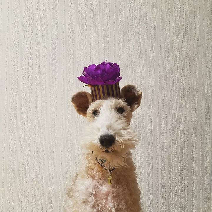 488cebc6 c3df 49de b454 0be12c207d4b 1544016424753