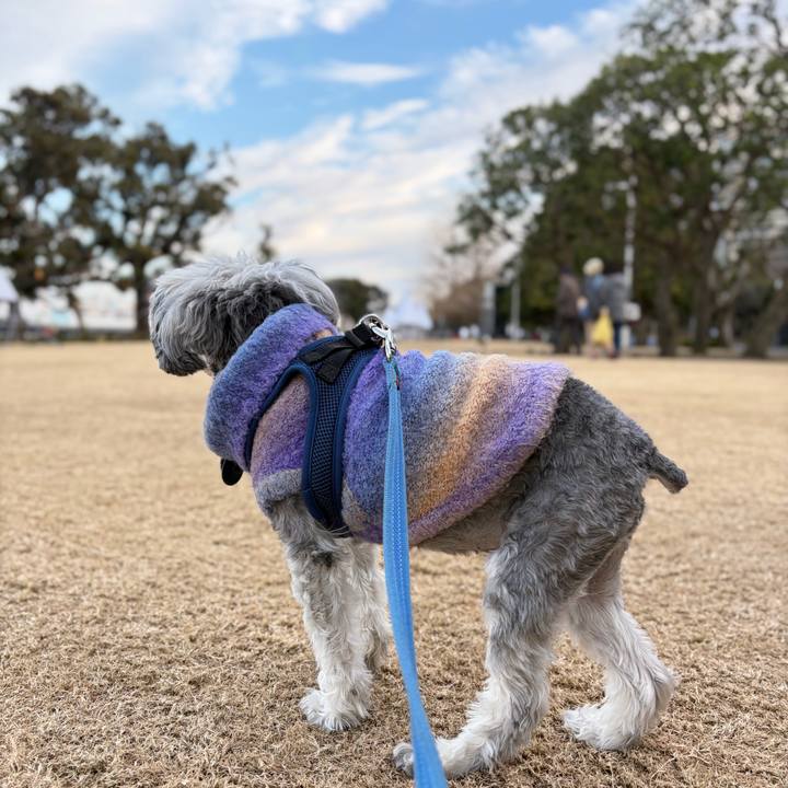 488cf5ff 5059 48fe a68b d96c1ee216c7 1767171960739