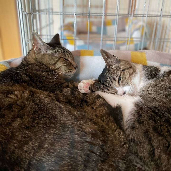 488d0027 11b6 4bb6 88c2 f00aecbabf8a 1623551667338