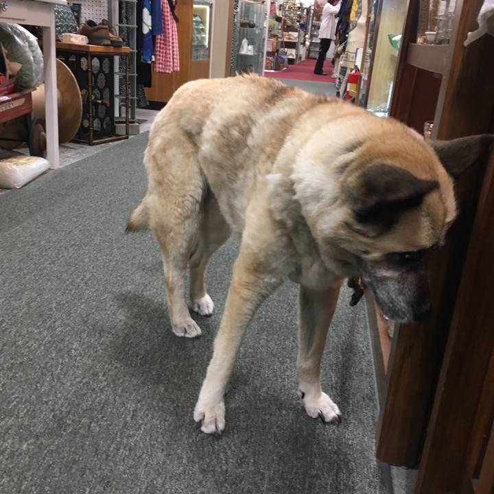 488d3ac1 ee82 4e68 90c1 5ec3b55aa820 1526433102023