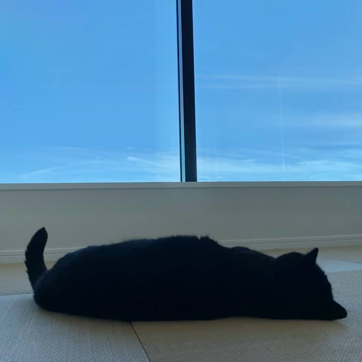 488d4115 f92e 4c1c a60b b5fc1e3a284a 1662764773936