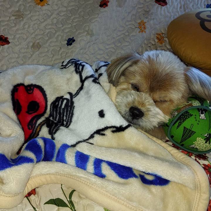 488d7b4d 5adf 401d 826d a27d16f73ae3 1634625474549