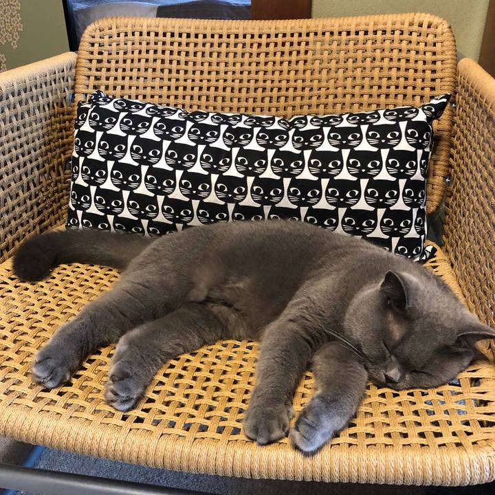 488d9072 5993 425e 964c e5f56dfa50e3 1570079447178