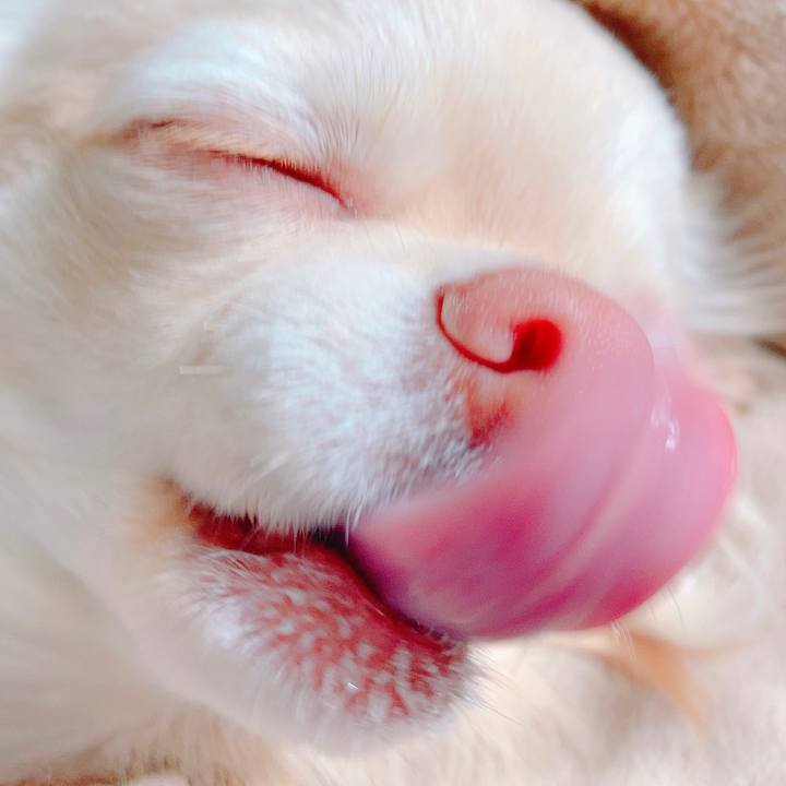 488d907e 0185 44dd aa07 5a93bcbe0d16 1619848457296