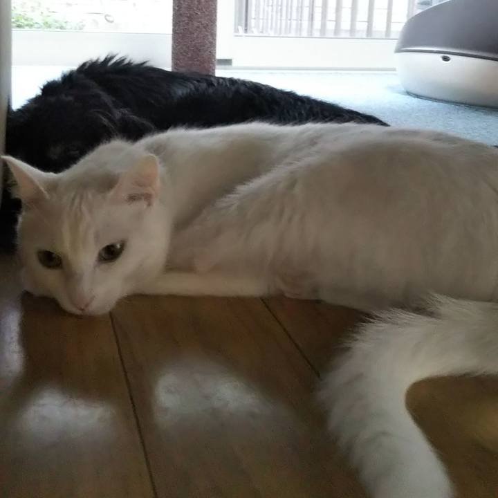 488da48c 1731 4fbe ab0a 813bc94b94ce 1634595570967