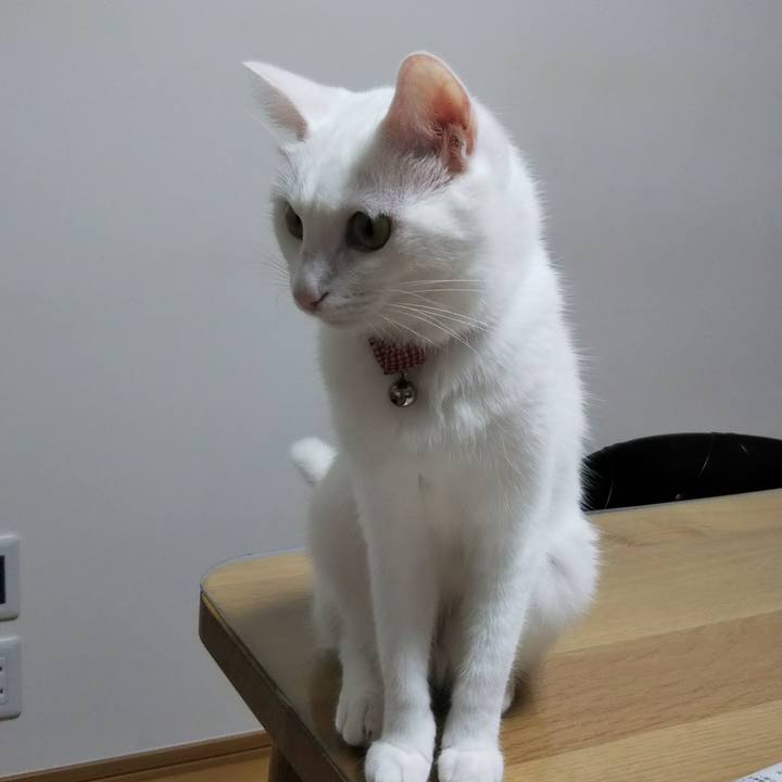 488dfe44 b32d 4652 9ab0 98b569978d81 1630707318821