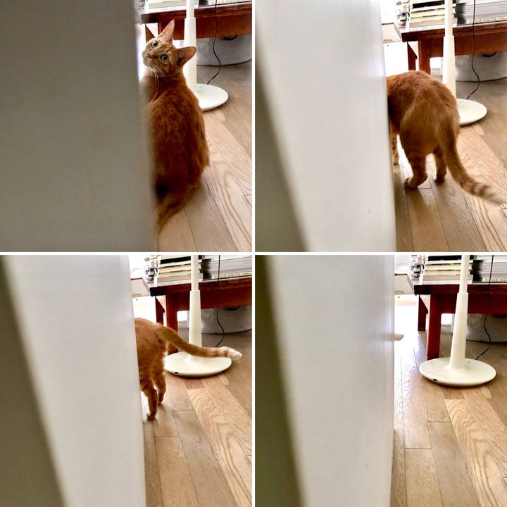 488e1e24 d73b 439a a536 8ccfd1b71ab8 1563072116256