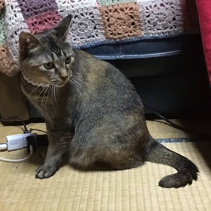 488e2309 9b44 418a 9399 edfeef1e53ad 1688388406385