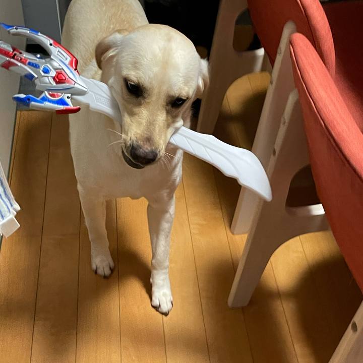 488e3a37 3b49 4162 aeeb 5a3712068cac 1659012081344