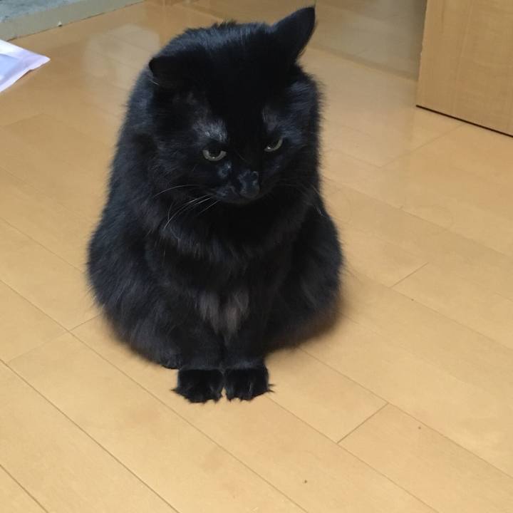 488e573a 61cc 4740 9523 7ba5066c21e1 1517761037428