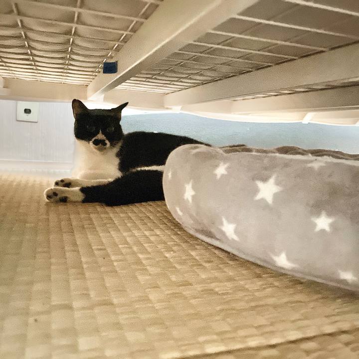 488e79ba 8e43 4d75 bc4f 8c05fabbfd4c 1662634248907