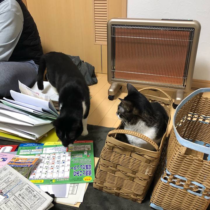 488ebd92 9832 4ff5 be3e e4bf0b6a6033 1549485852924