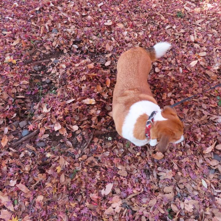 488ec517 1773 446f 804f dc3a5fd05263 1671152752565