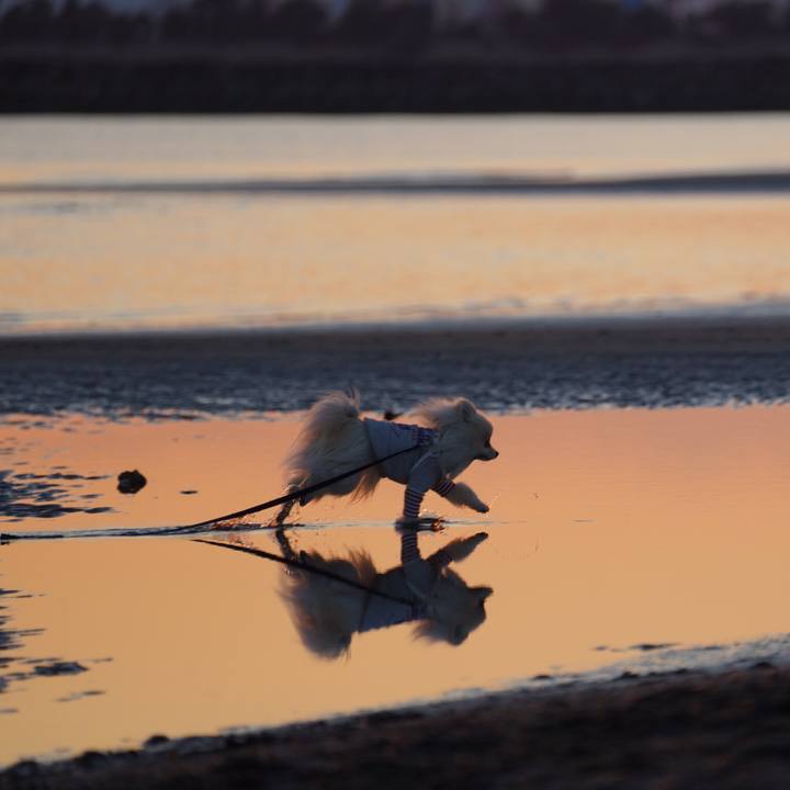 488f1359 0aaa 4838 849d a12ec73c72e4 1548420597640