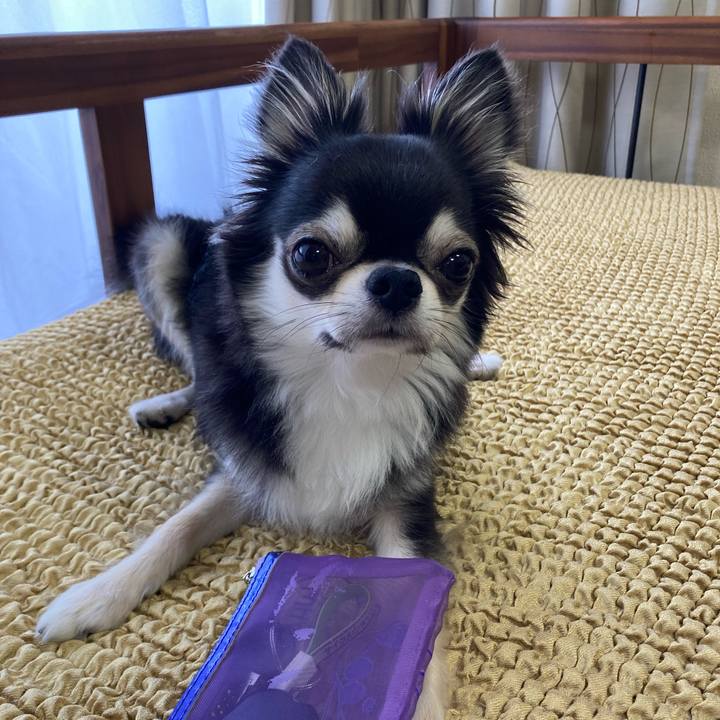 488f36c2 75e6 4268 a502 f97d1038c04b 1657377016503