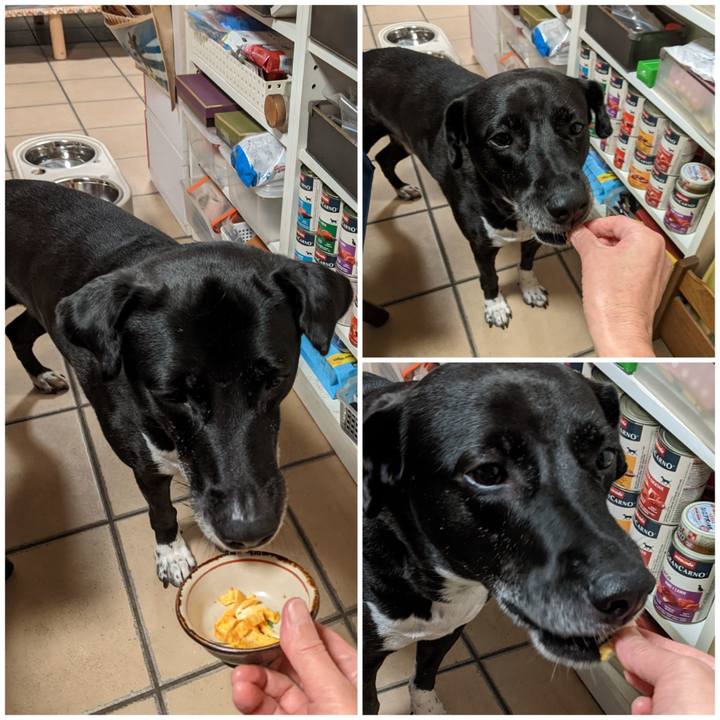 488f8b86 3562 4cb8 94f8 91a3a259dad3 1660869331617