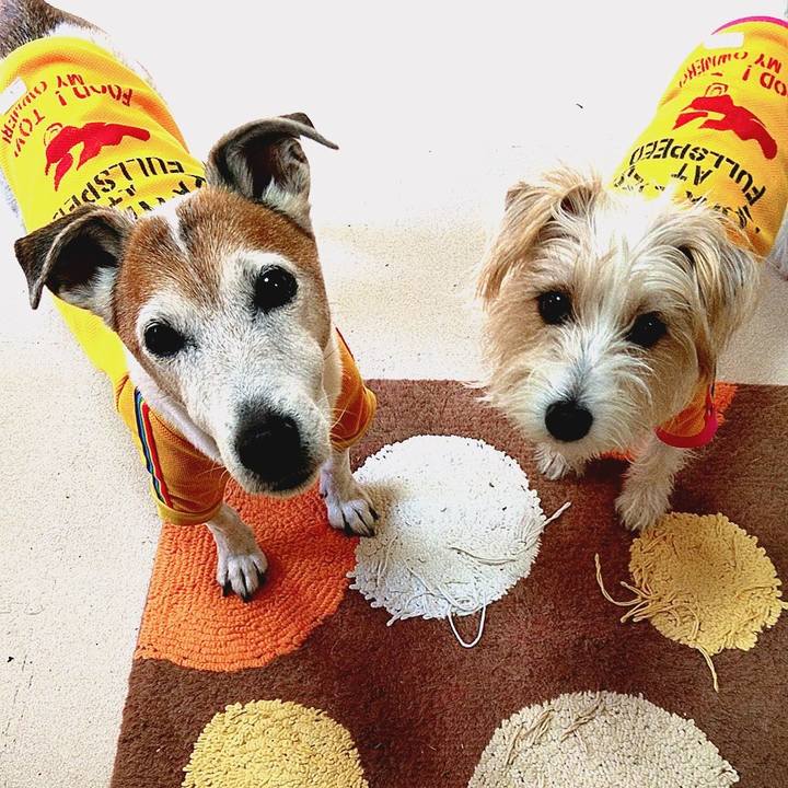 488f965f 6723 40fd 9b72 f2bf786d0723 1575766468730