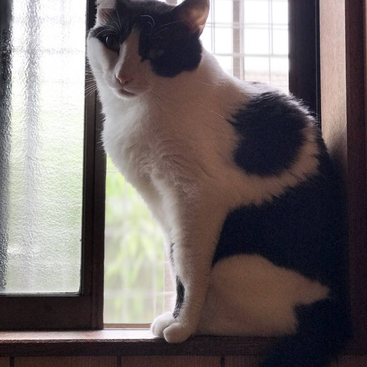 488fa6b7 dd07 48d0 9b8f 6b6e6dd8183f 1528769999240