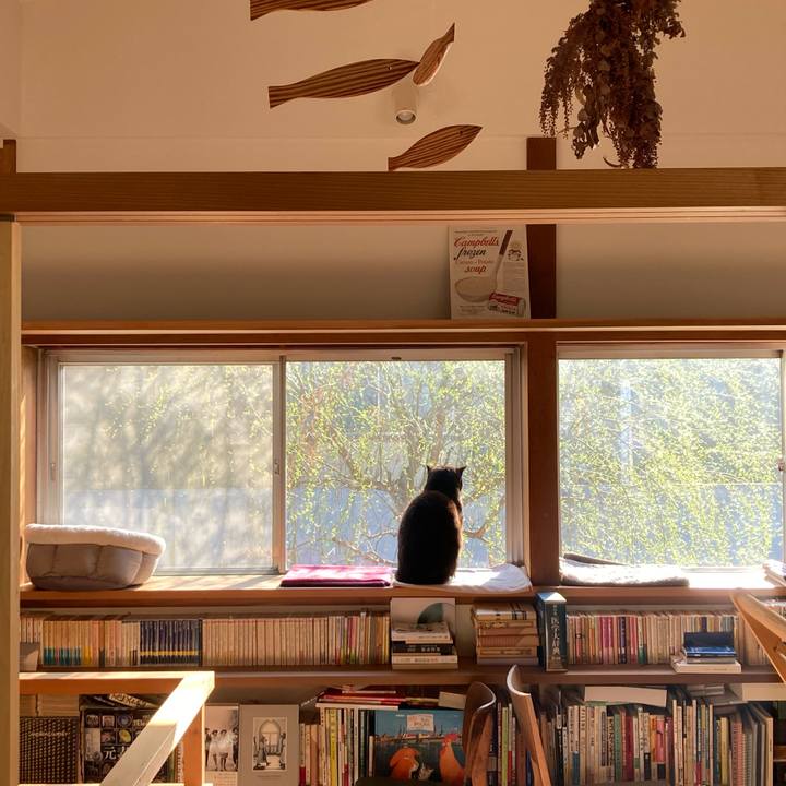 488fcf07 c8cf 4f1b b70c 86ef5ea8d63b 1615336753614