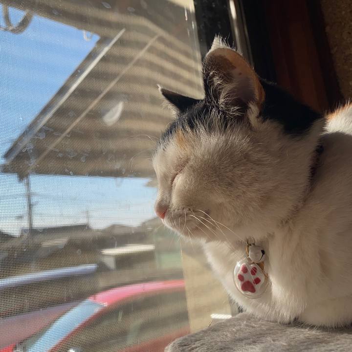 488ff1ff b432 4874 908d e061071b6a98 1642844571261