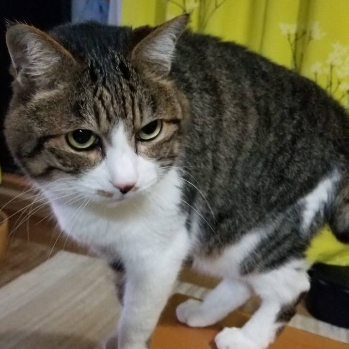 489048c7 2445 420c 8dd0 654af8a5ae51 1563196349208