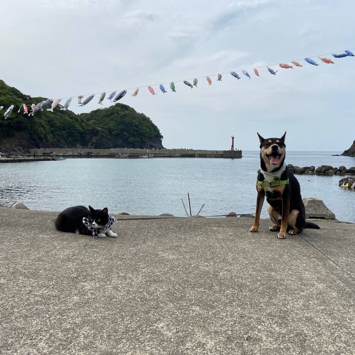 48904f8f a31a 4cec b1e0 650f4626b016 1620140390775