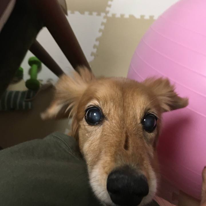 48905e89 7450 4377 acd2 41dc6bfab3af 1633931252995