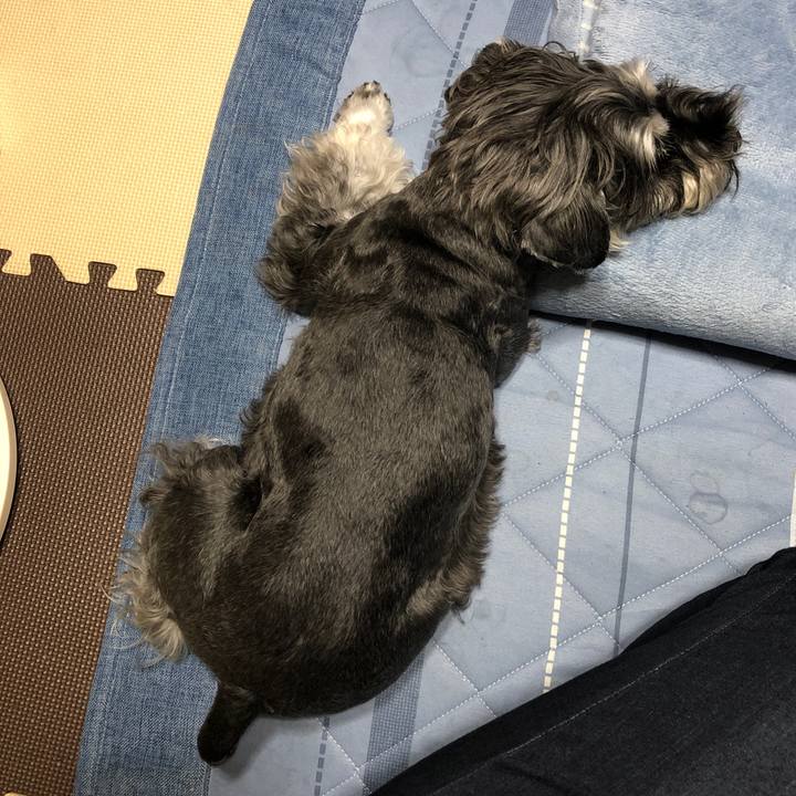 48906f37 f95e 40e8 b7fa 5fdb05592966 1693197637724