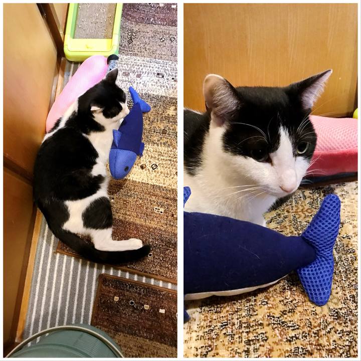 4890f26a b5c8 40ed b58f eac6f37627e9 1508584911487