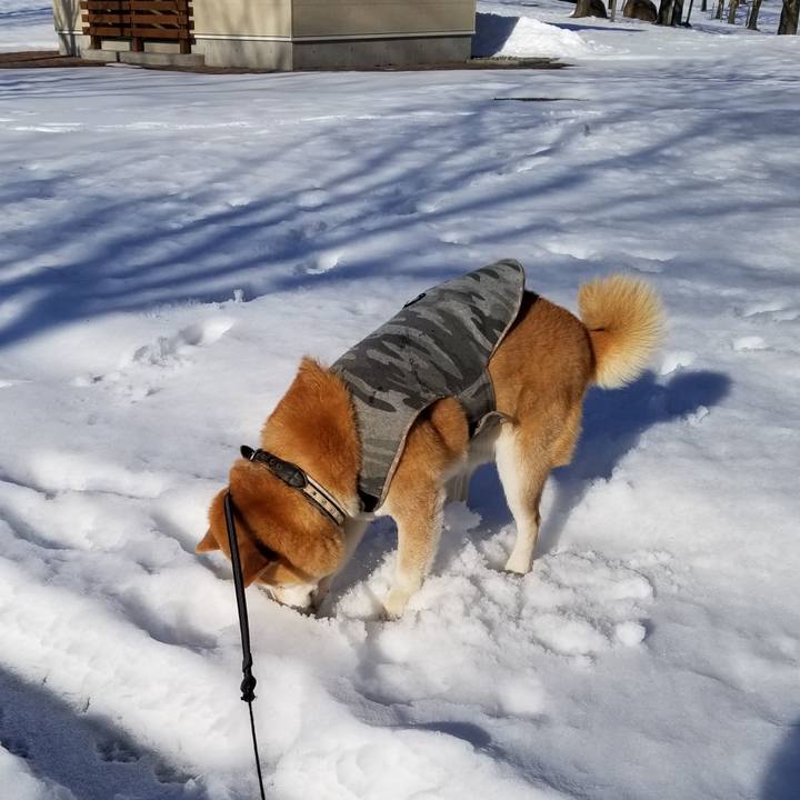 4890f844 ebd3 4209 bf9f 43dcf6f86fa5 1640320656062