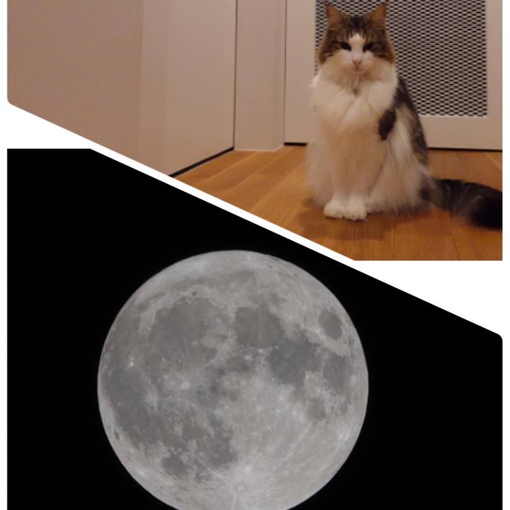 48911db5 00c6 4a1e 930c e835048723e6 1604153015161