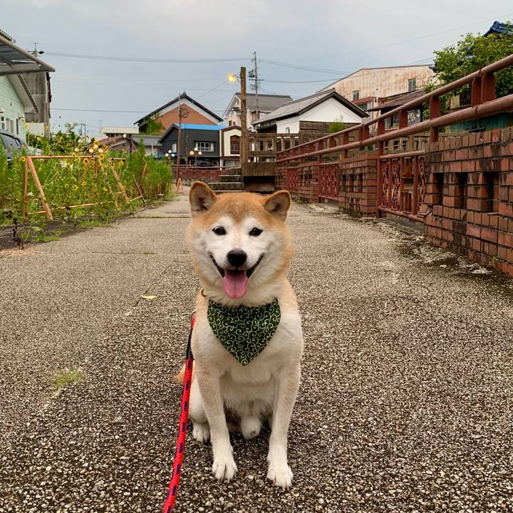 489120cf 25bc 4643 b302 ee34d607d882 1692615643367