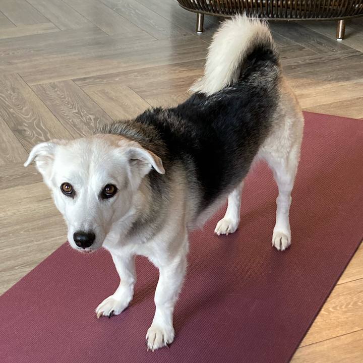 48912e38 7d3e 4923 9177 99f6dba94a76 1635770731892