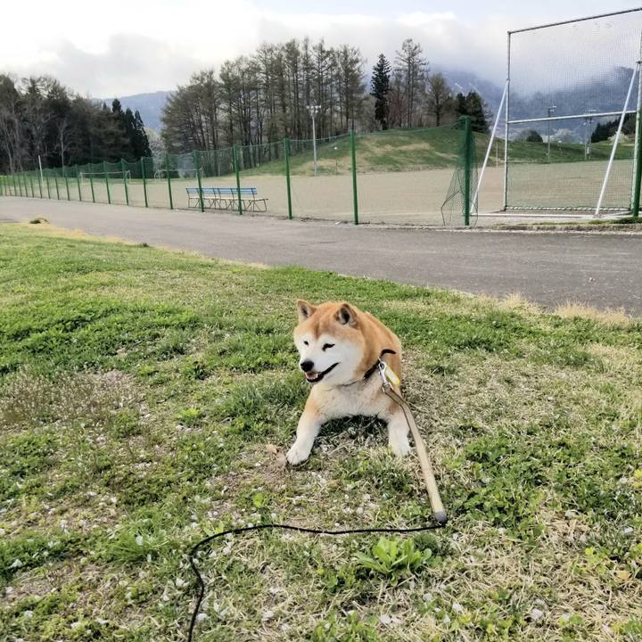 48913ae0 f515 4738 a49e eedba95b3404 1650609738400