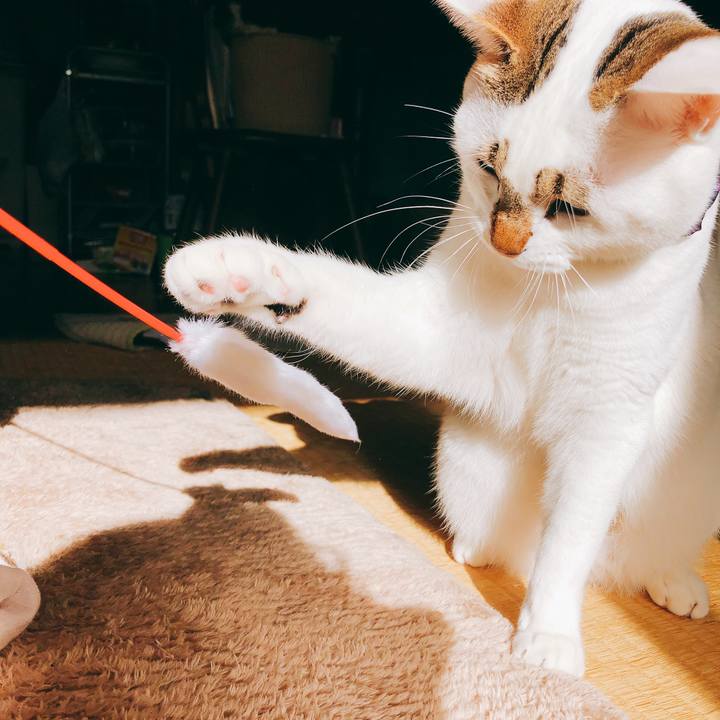 4891570d 281c 41c2 bebf 5abf56cb2f64 1515337196892