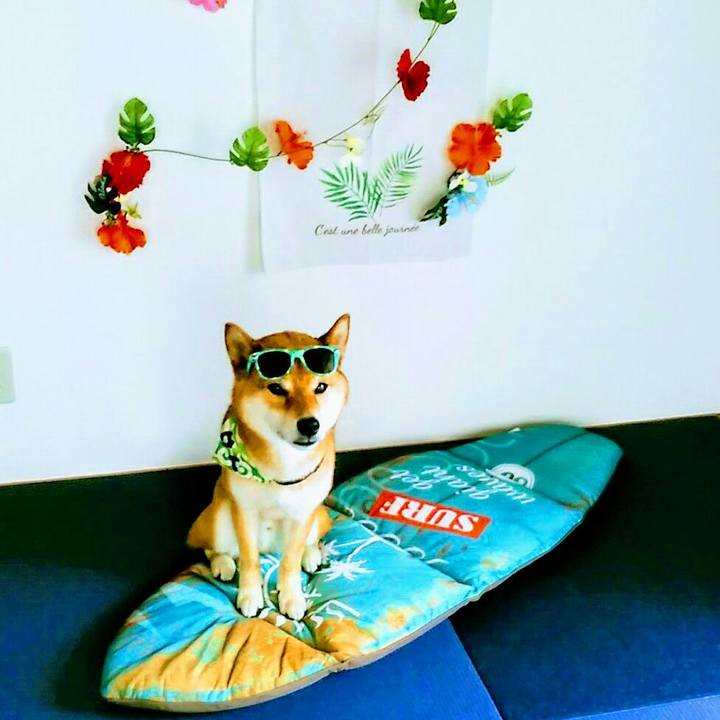 48917361 a5e6 45f5 b7bb f4bc49776520 1560926521771