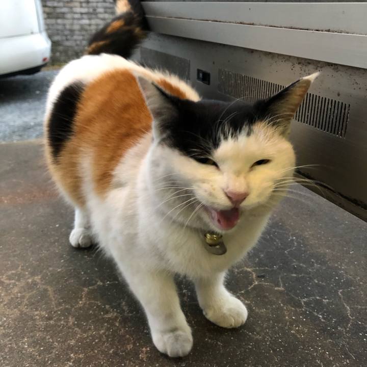 4891c9ff 7bea 4a7e a16f d5dc83c79b94 1608157148486