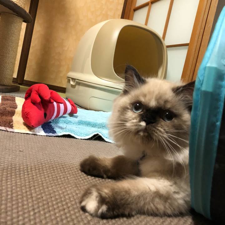 4891e34b 5891 4d9a 80d6 f484f8baf8dc 1632836804471