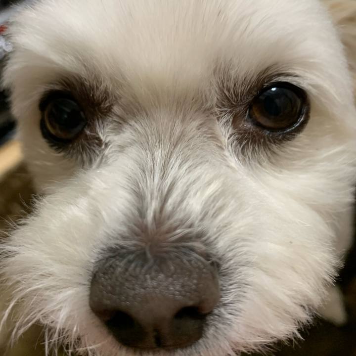 4891f628 f280 4598 8df0 2234629ed281 1644665828171