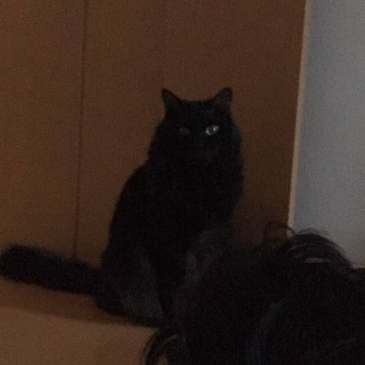 489210c4 e79f 49be 8d7f d0384315778b 1510452336565